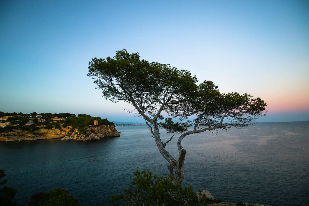 Cala Figuera, Santanyí
